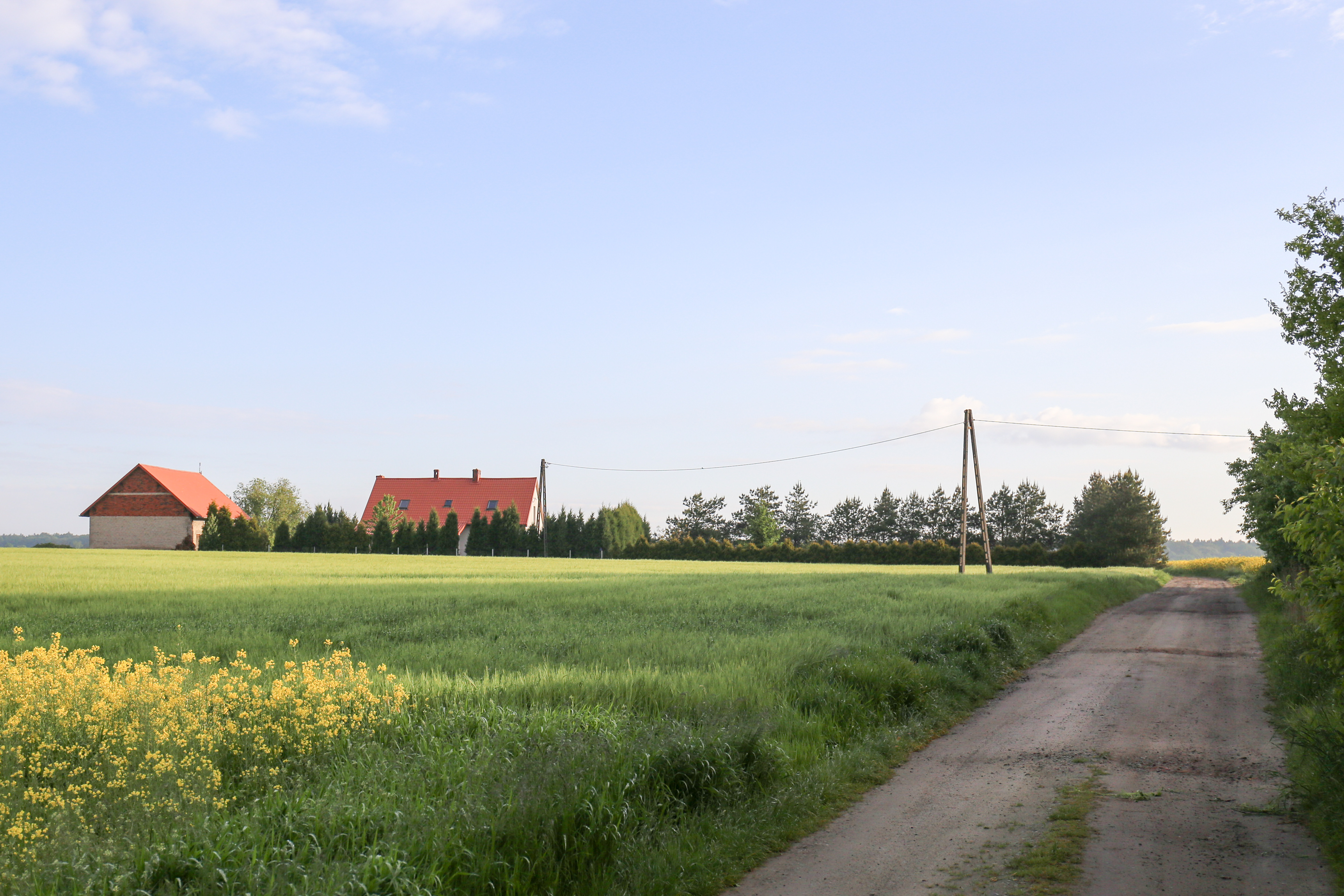 Wiejski krajobraz z polami i domem z czerwonym dachem, nawiązujący do sieci sklepów dom i ogród.