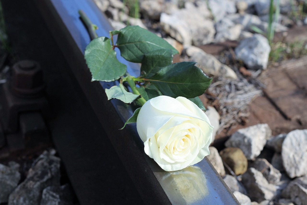 Biała róża na torach kolejowych, symbolizująca tragedię i stratę w kontekście problemów z dziećmi.