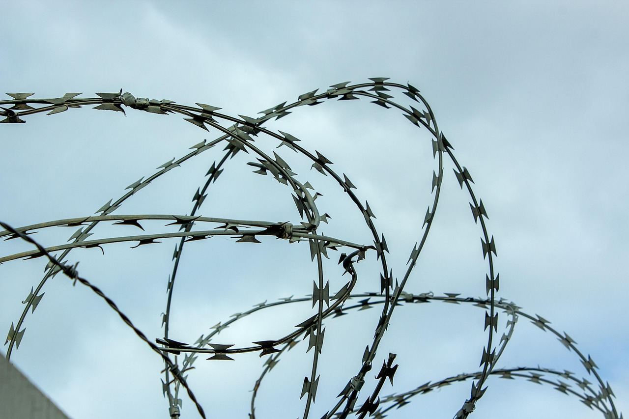 Straż Graniczna na granicy z Białorusią: Analiza nowej dynamiki i przyszłych wyzwań