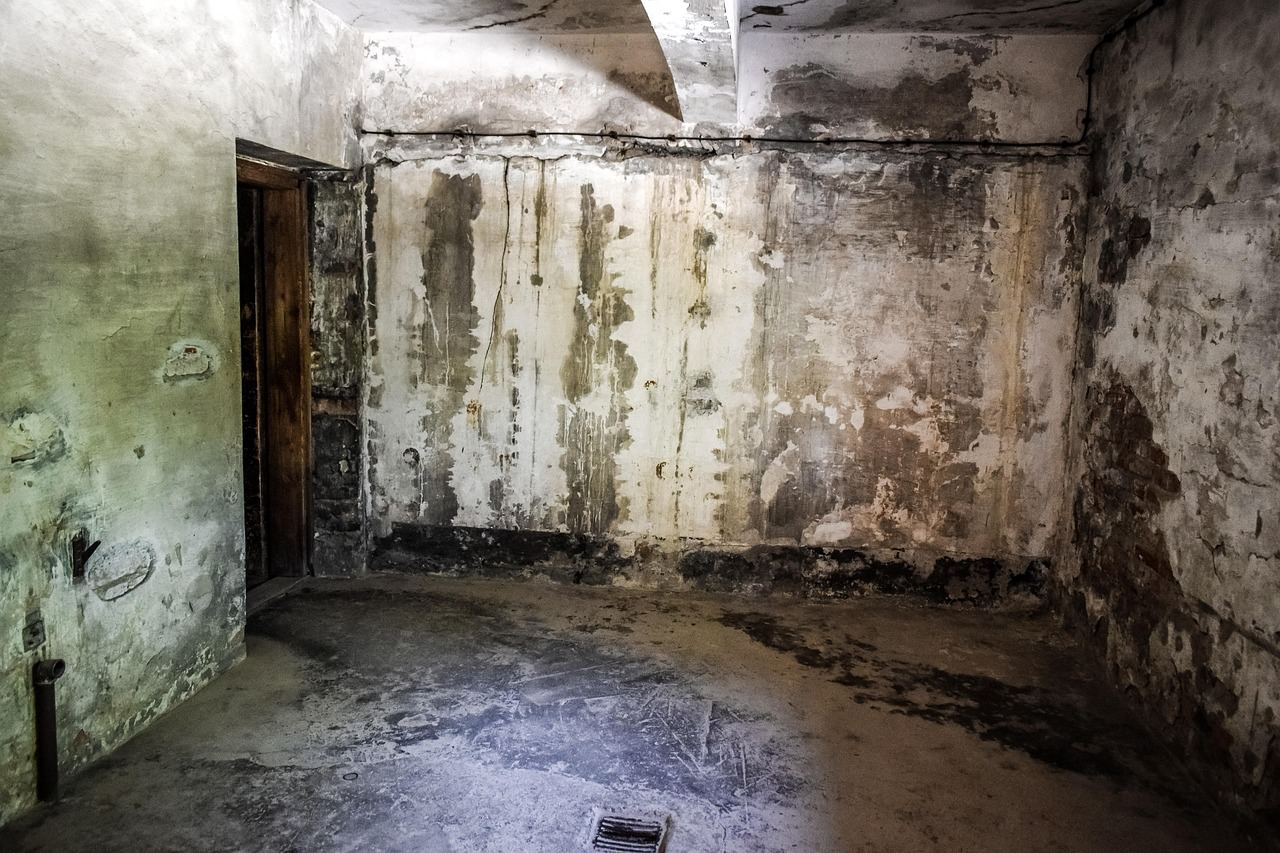 Skandal w Dopiewie: Weszła do toalety na stacji, a tam czekał na nią koszmar. Co stało się przy S11?