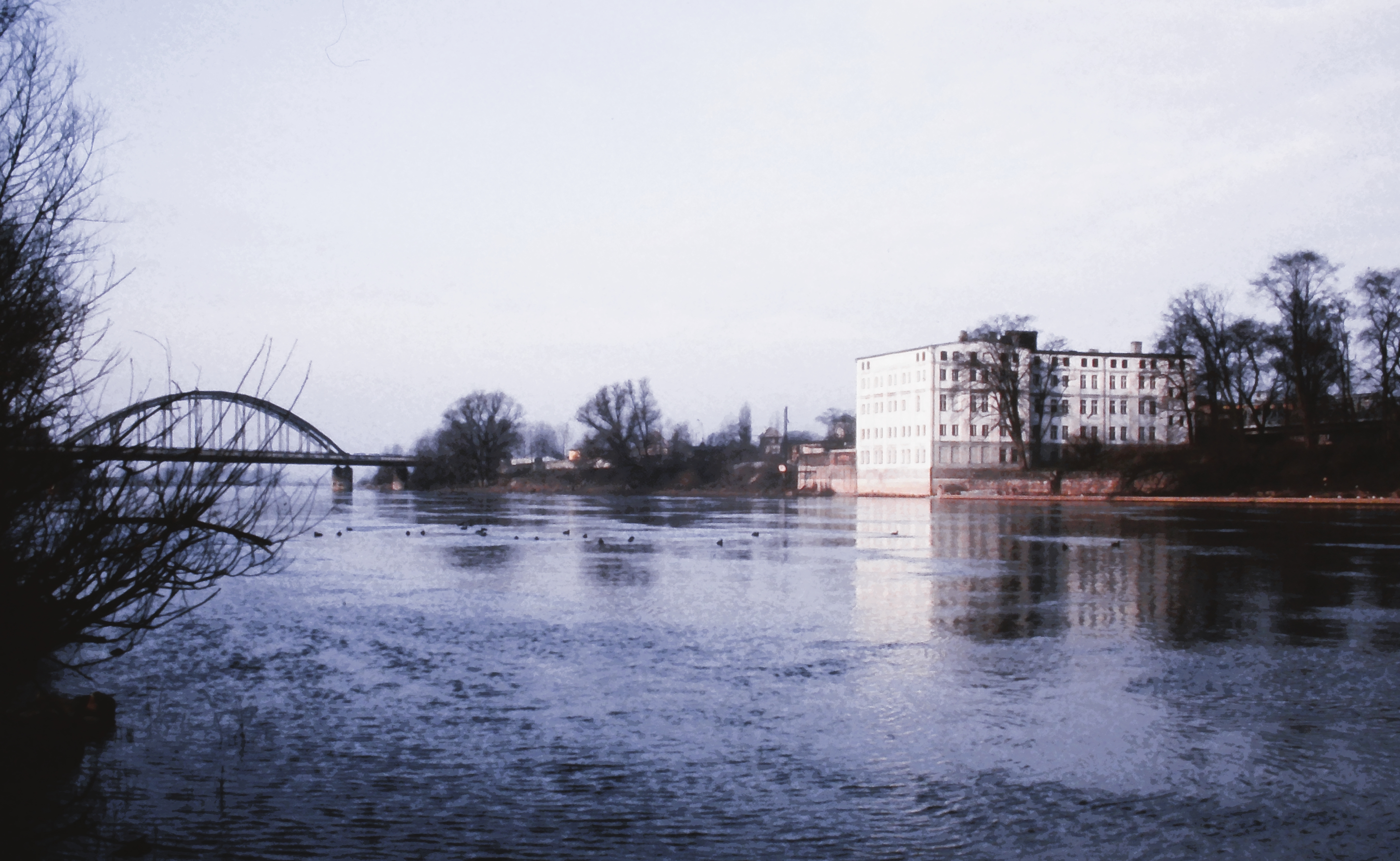 Gorzów: Pogoda pod lupą naukowca. Co mówią prognozy i jak wpływają na nas zmiany klimatu?