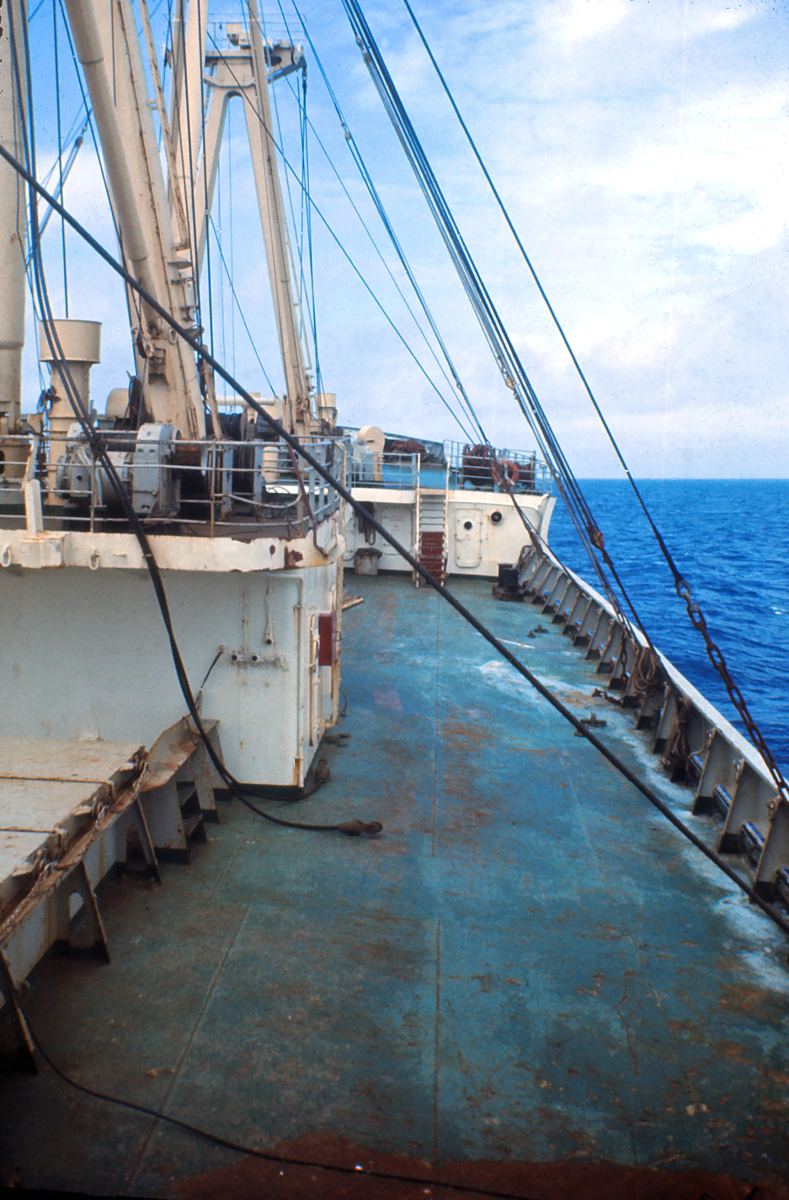 Polskie Linie Oceaniczne: Analiza nowej strategii inwestycyjnej na lata 2026-2030