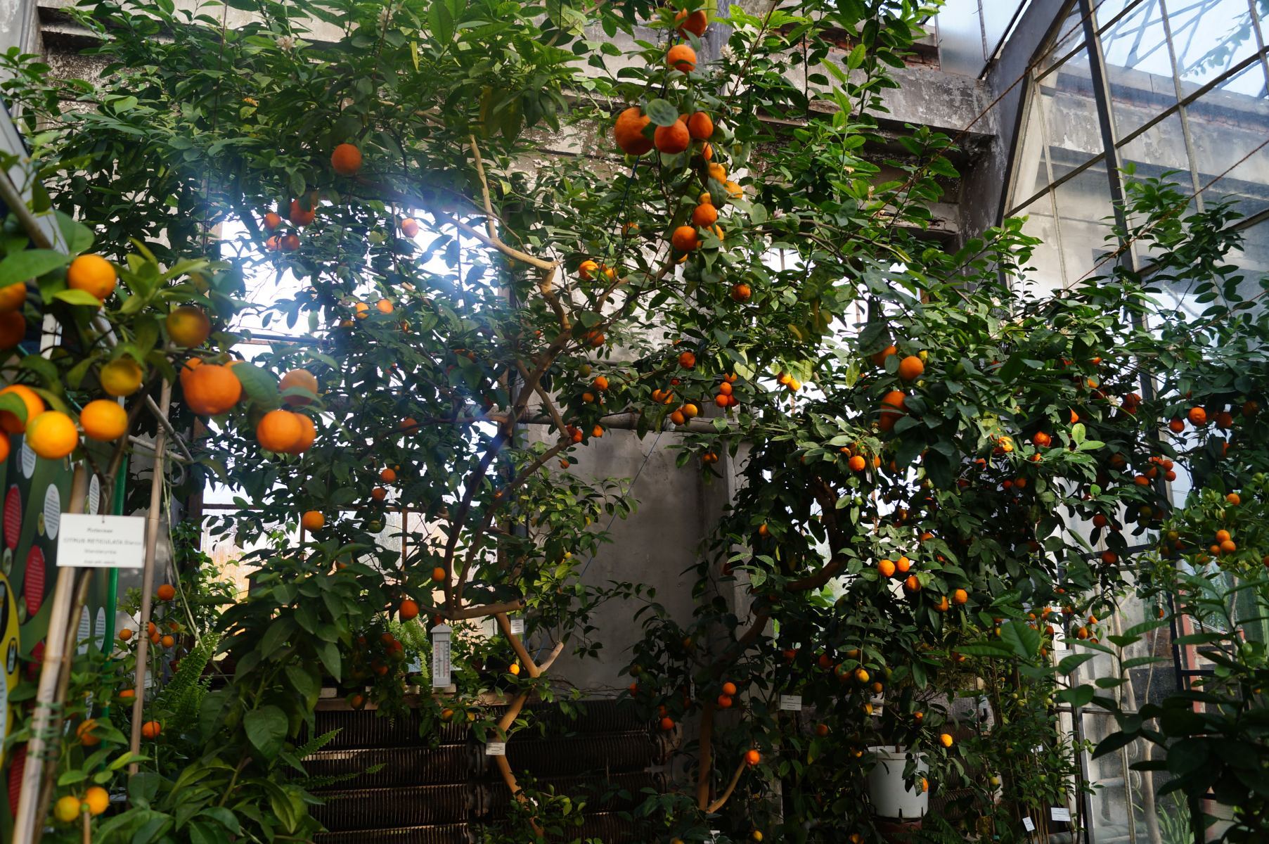 Był idolem pokolenia, a jego losy chwytają za serce. Co stało się z Mandarynem z “Wakacji z duchami”?