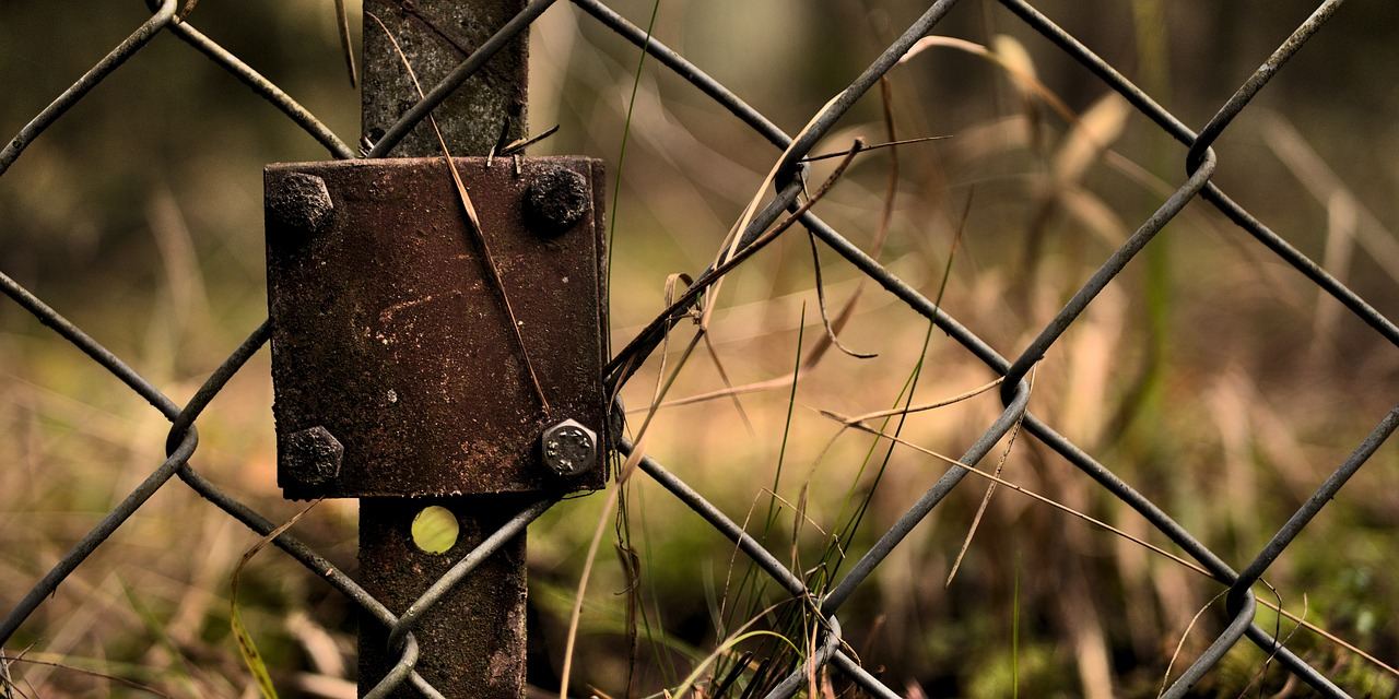 Litwa pod presją: Balony z Białorusi paraliżują kraj. Analiza kryzysu na granicy NATO