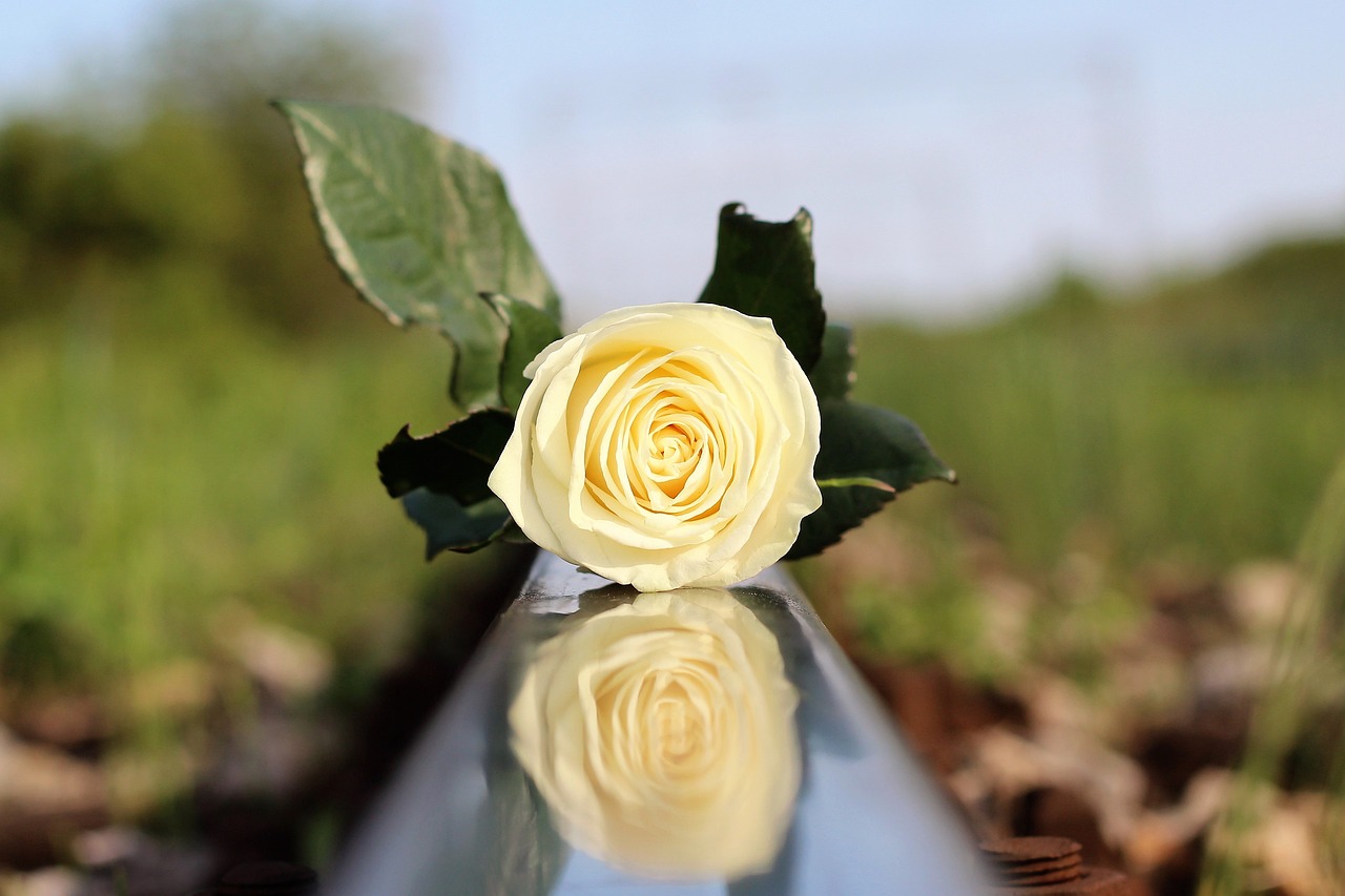 Leicester: Po 20 latach odnaleziono ciało zaginionej Polki – śledztwo w toku