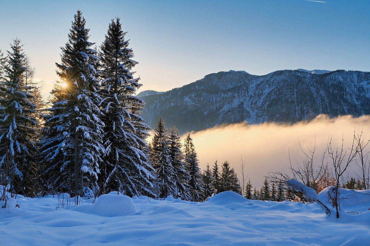 Atak Zimy na Polskę: Intensywne Opady i Gołoledź Paraliżują Kraj