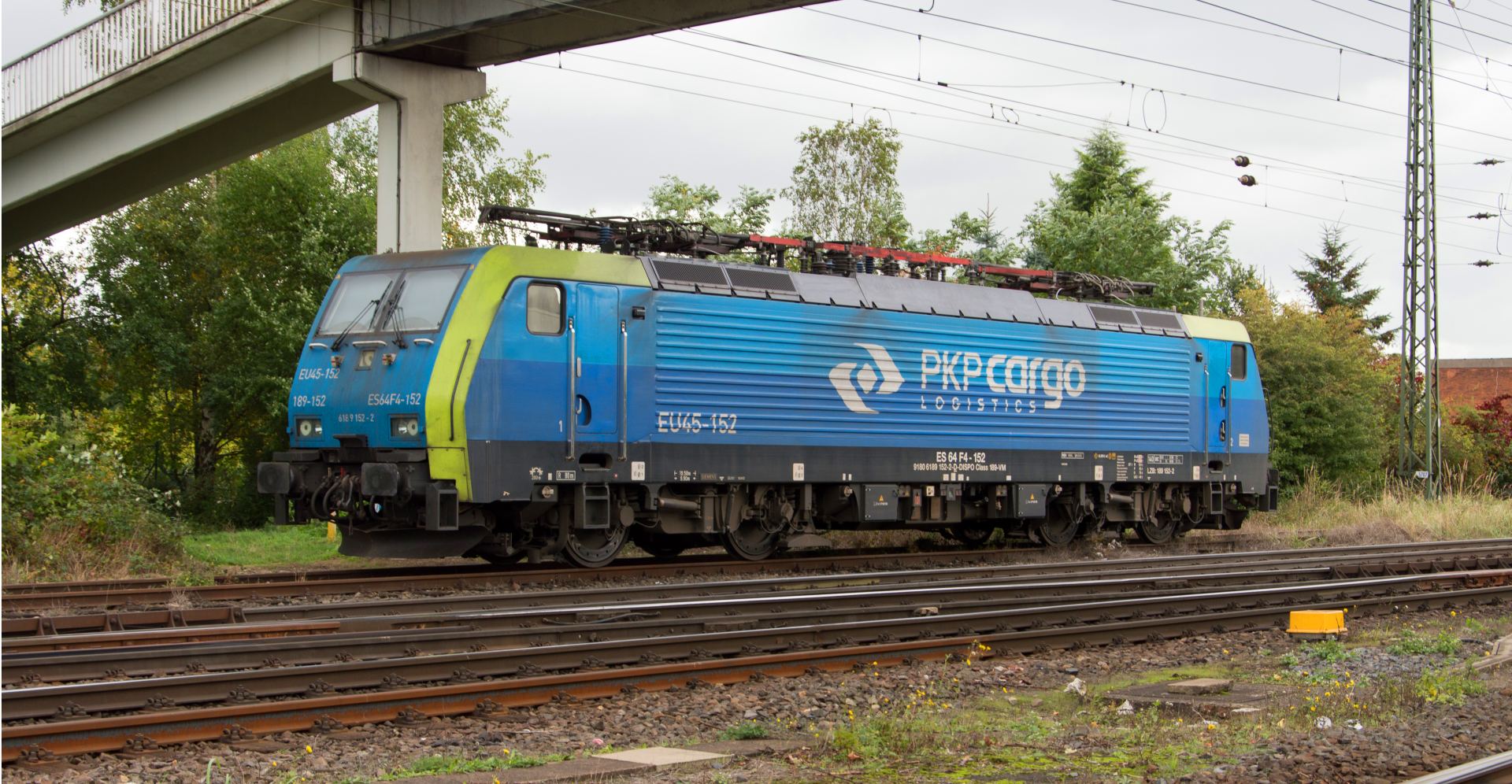 PKP Cargo: Analiza Finansowego Zwrotu – Co Liczby Mówią o Przyszłości Spółki?