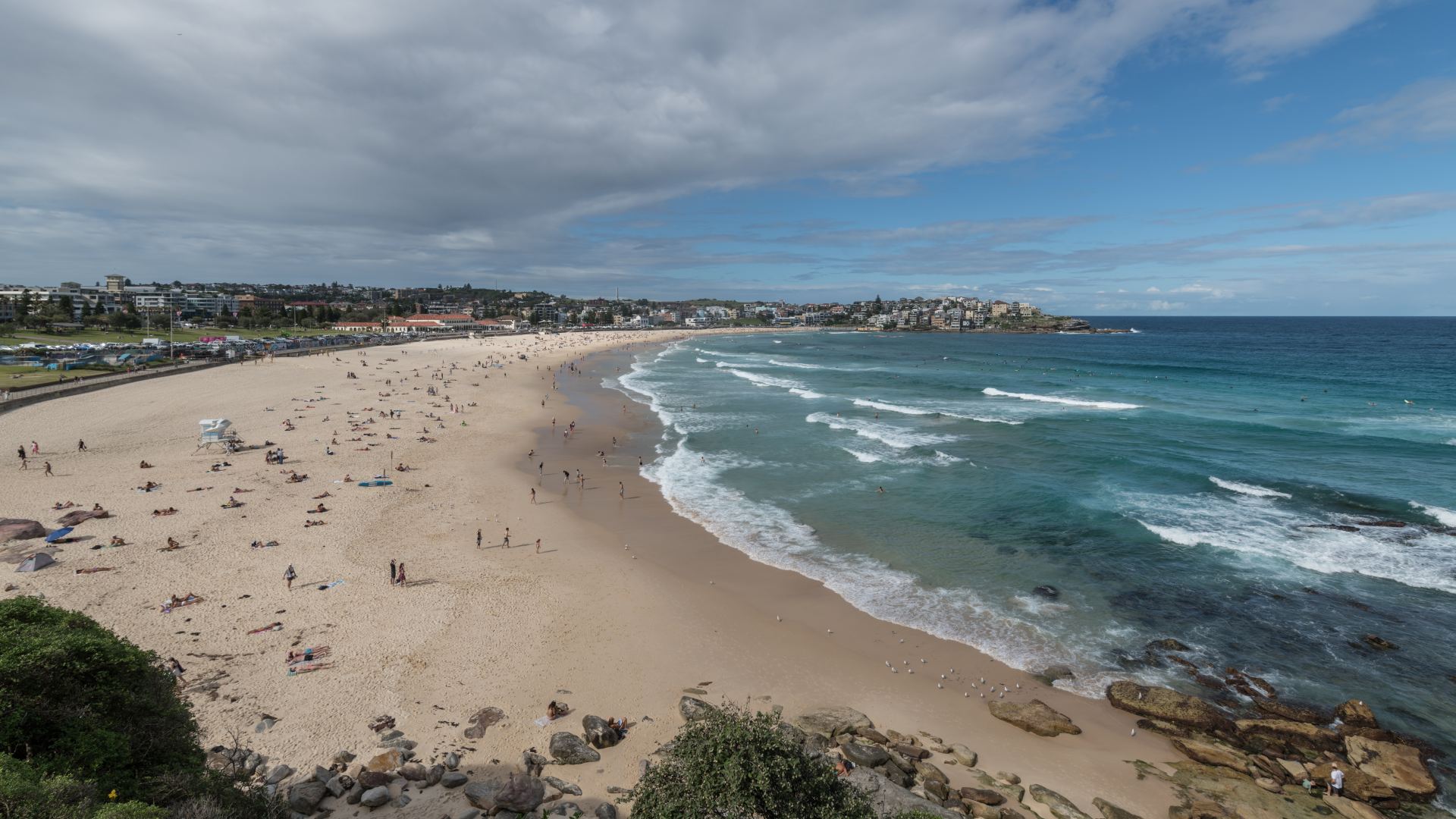 Sydney wstrząśnięte zamachem: 12 ofiar śmiertelnych na Bondi Beach