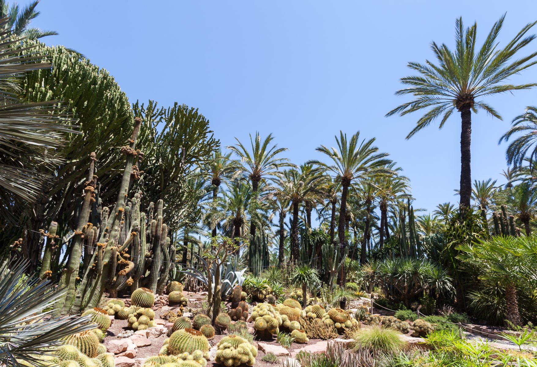 Elche: Szczegóły brutalnego ataku Polaków na willi w Hiszpanii – chaotyczne kradzieże i tragiczne konsekwencje