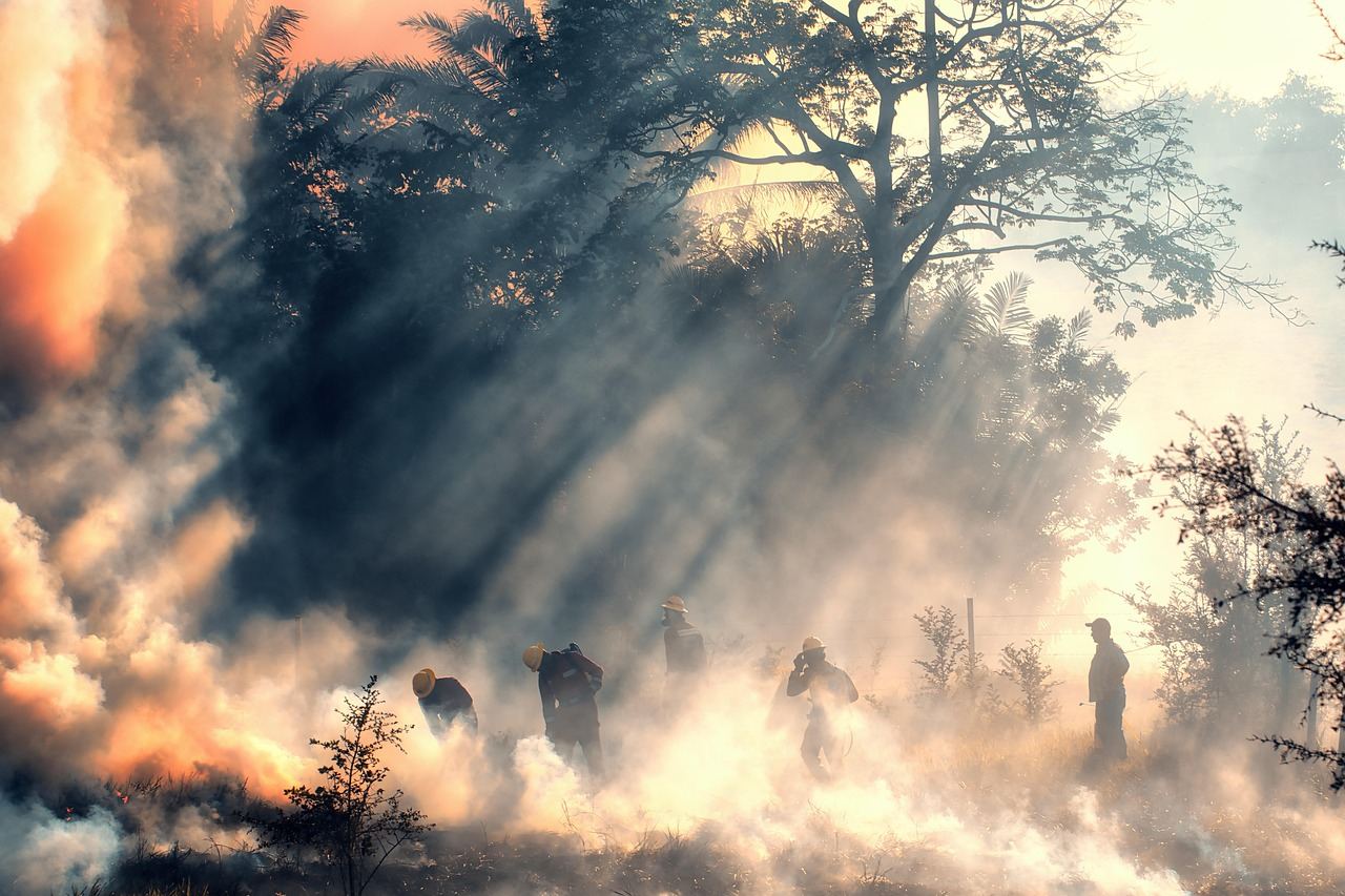 Tragiczny Pożar w Dołhobrodach: Śledztwo w Sprawie Śmierci 93-latki
