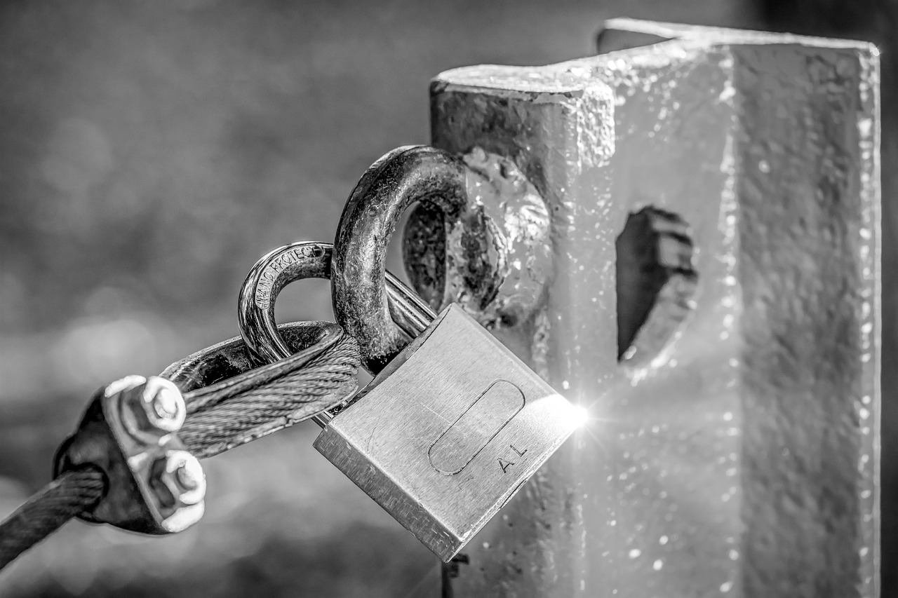 Nowość w Bezpieczeństwie Granicznym: Skanery Fal Milimetrowych na Podkarpaciu