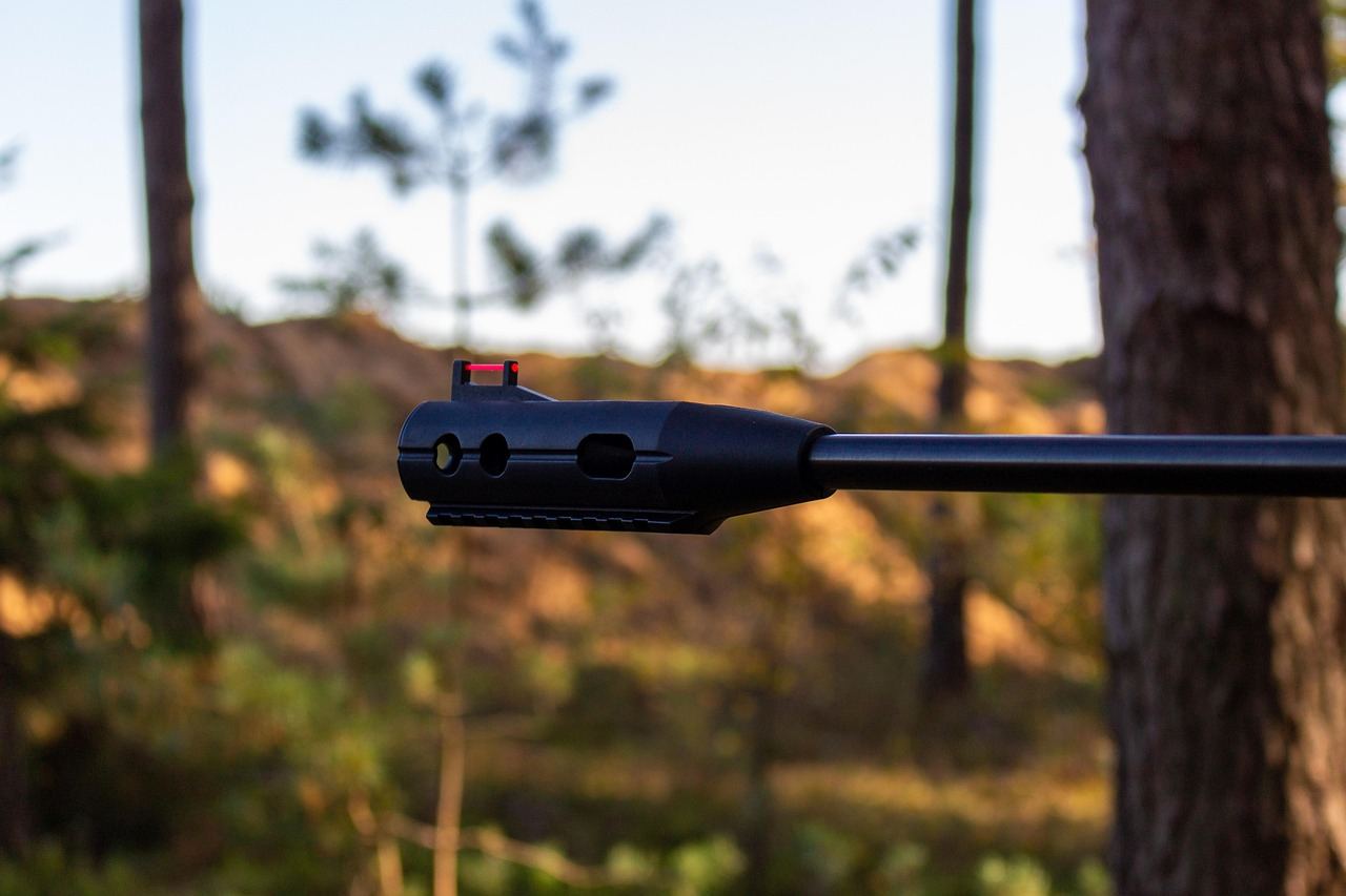 Polska Liderem w Programie SAFE: Miliardy Euro na Rozwój Obronności