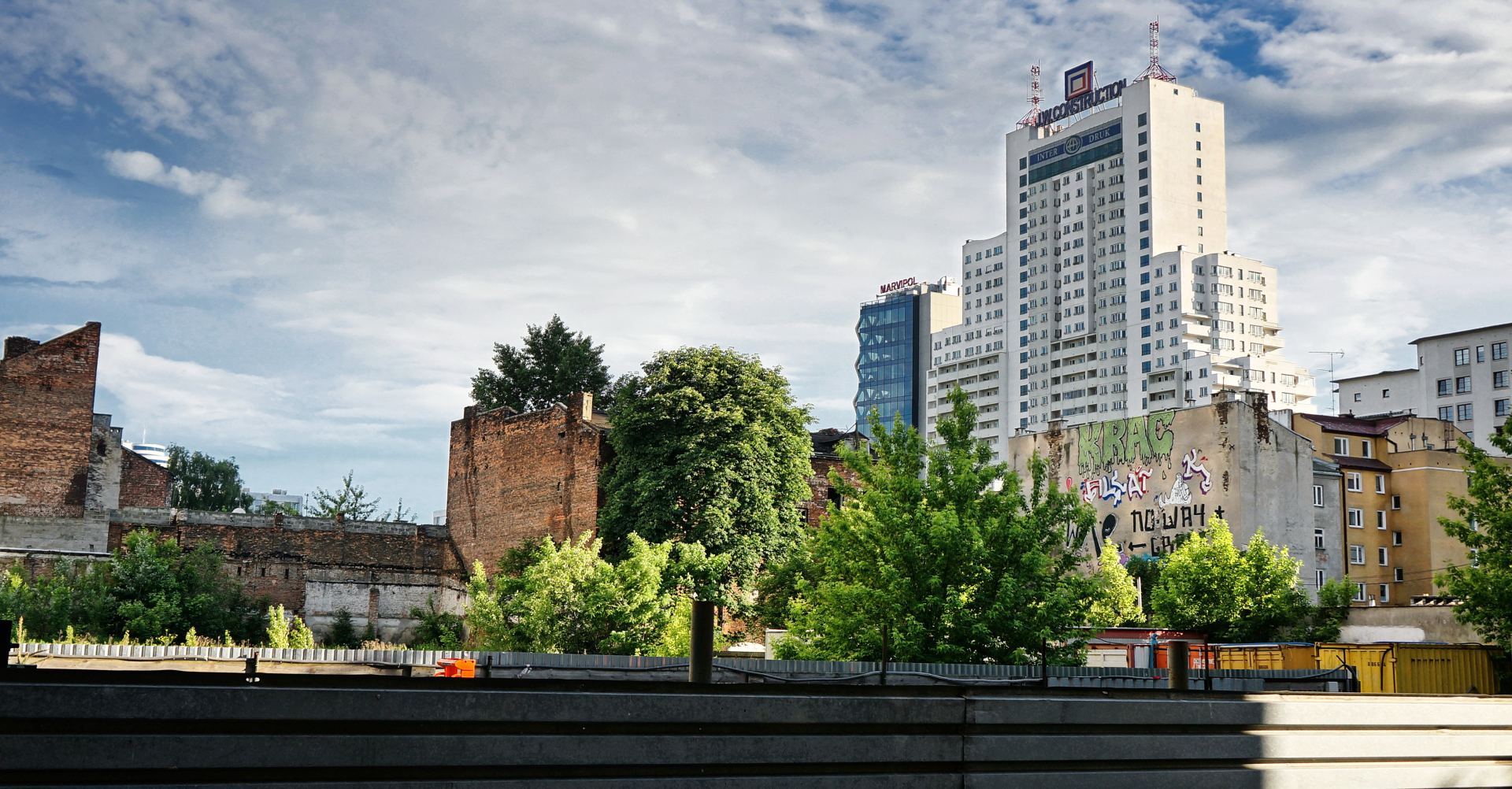 Wielki krok Dzików Warszawa! Historyczny awans do Pucharu Polski!