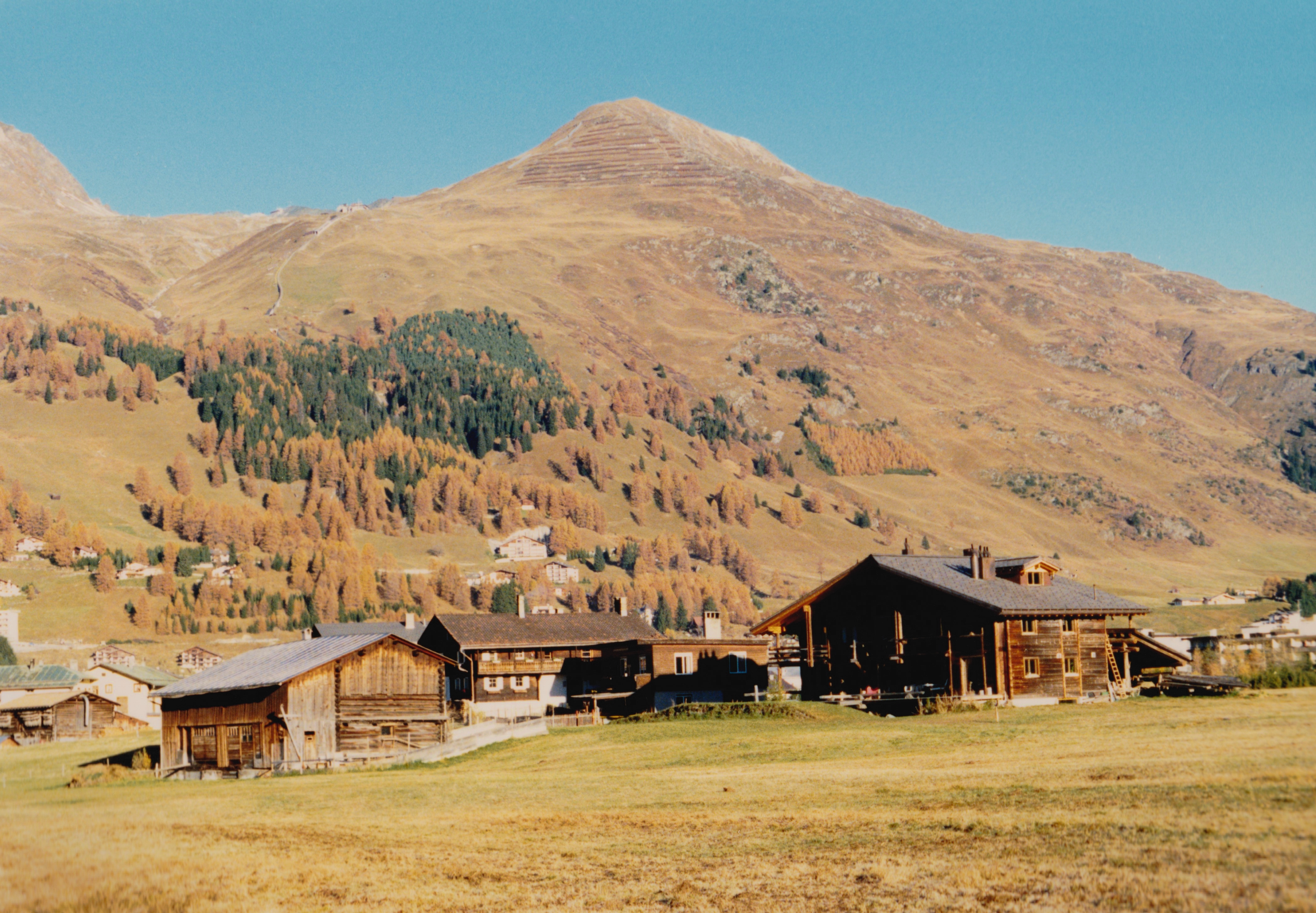 Inauguracja Rady Pokoju w Davos i perspektywy członkostwa Polski i Włoch – analiza sytuacji