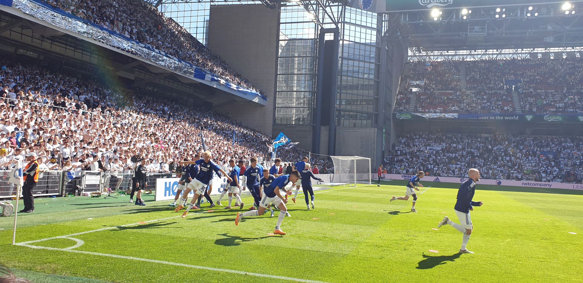 Sensacja w Bundeslidze! Polak błyszczy mimo porażki Wolfsburga