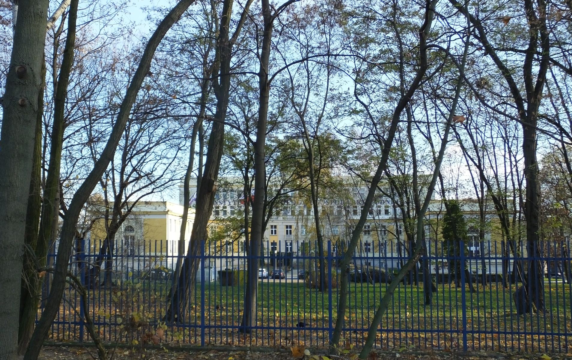 Ekstremalne warunki pogodowe w Polsce: IMGW ostrzega przed marznącymi opadami i oblodzeniem