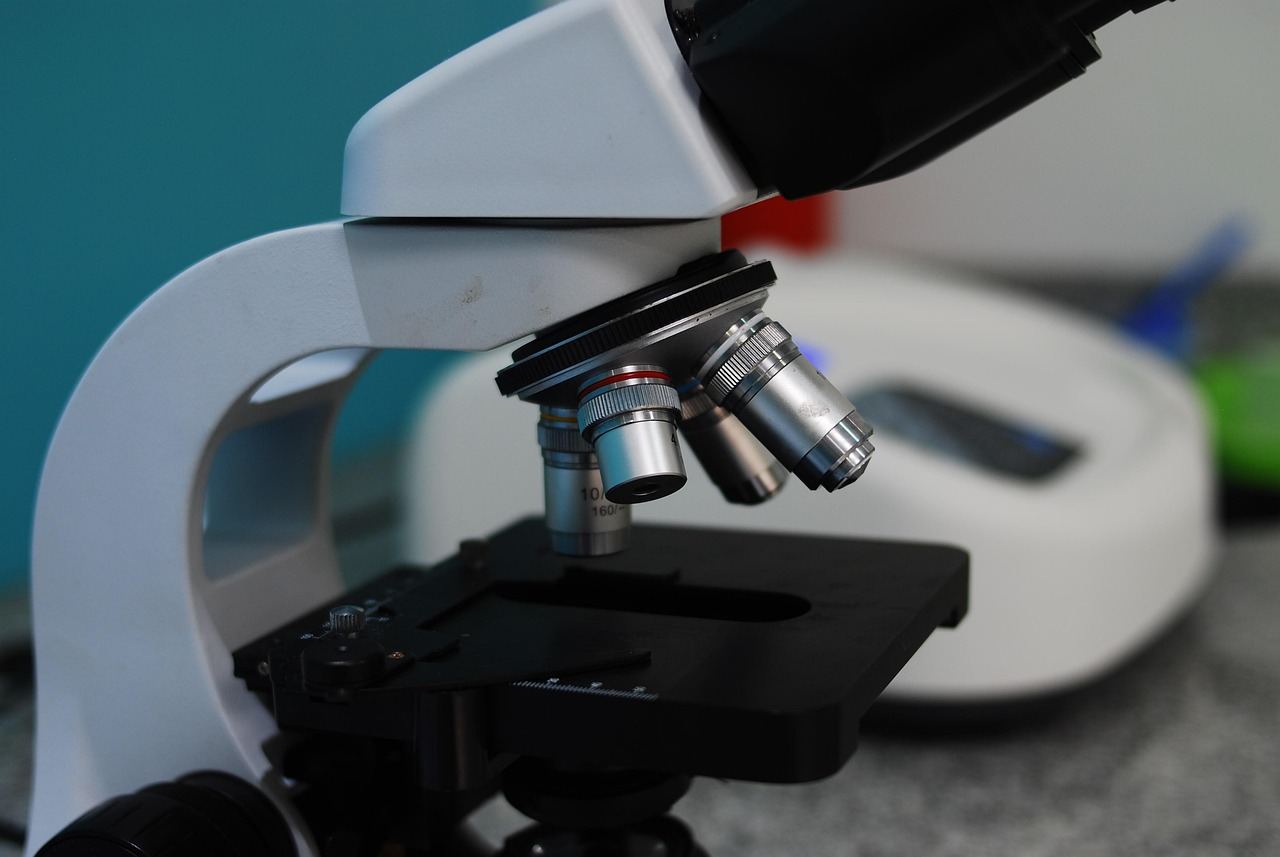 Kontrowersje wokół “Pogotowia dla zwierząt” w Kuflewie – Prokuratura wszczęła dochodzenie