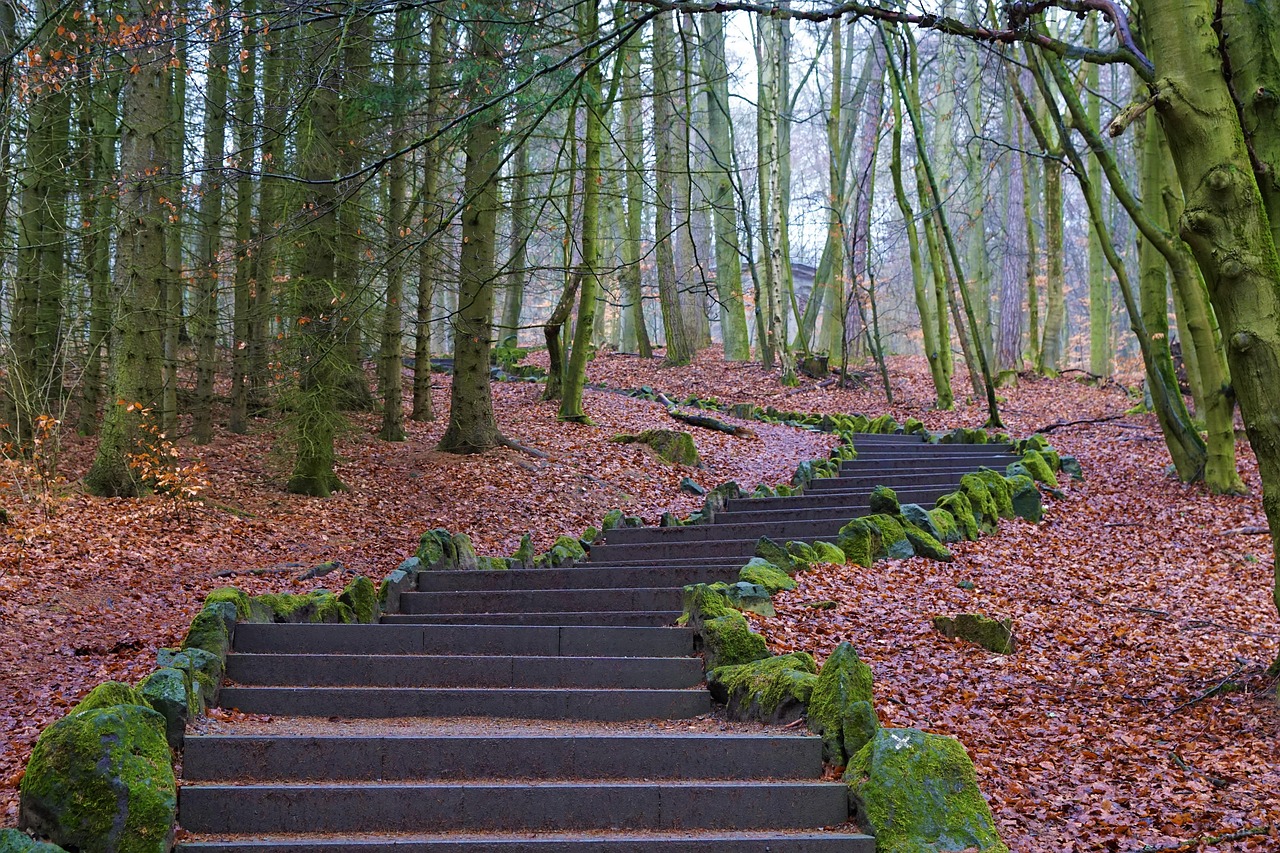 Prognoza Pogody dla Olsztyna i Województwa Warmińsko-Mazurskiego: Luty 2026