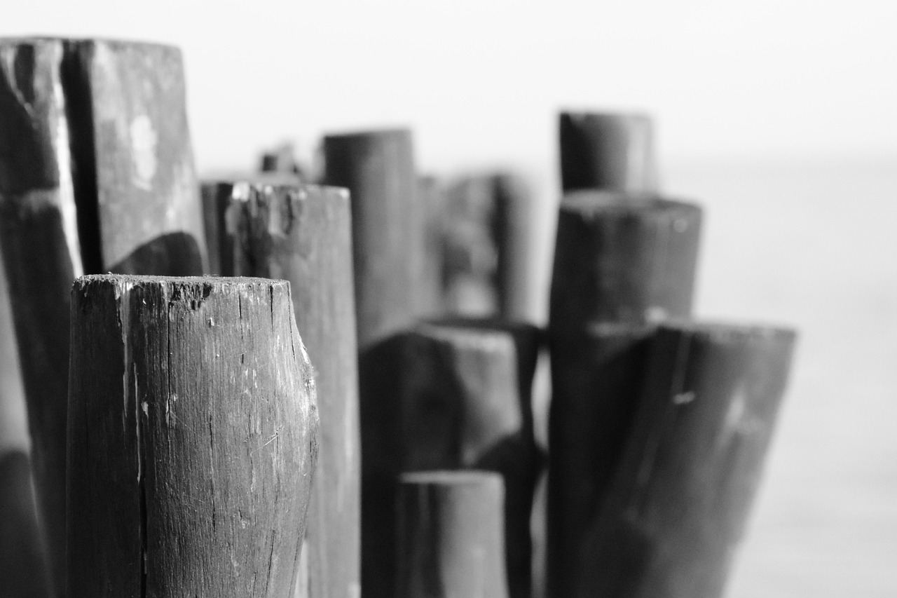 Nowa Nadzieja wchłonięta przez Imperium Kontratakuje – ratunek przed wykreśleniem z rejestru