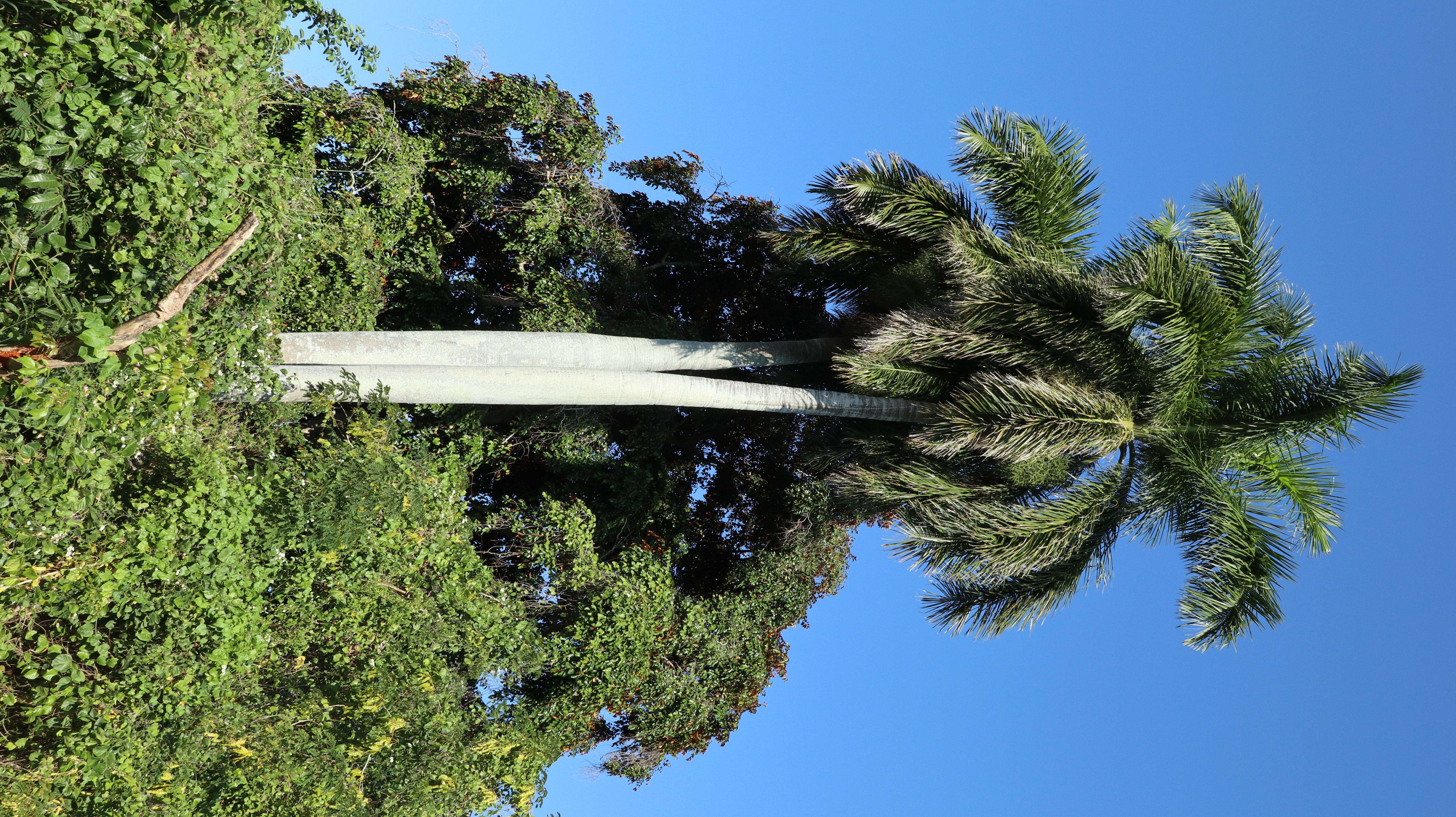 Kuba w obliczu kryzysu: drastyczne ograniczenia w dostawach paliw i wstrzymanie tankowania samolotów