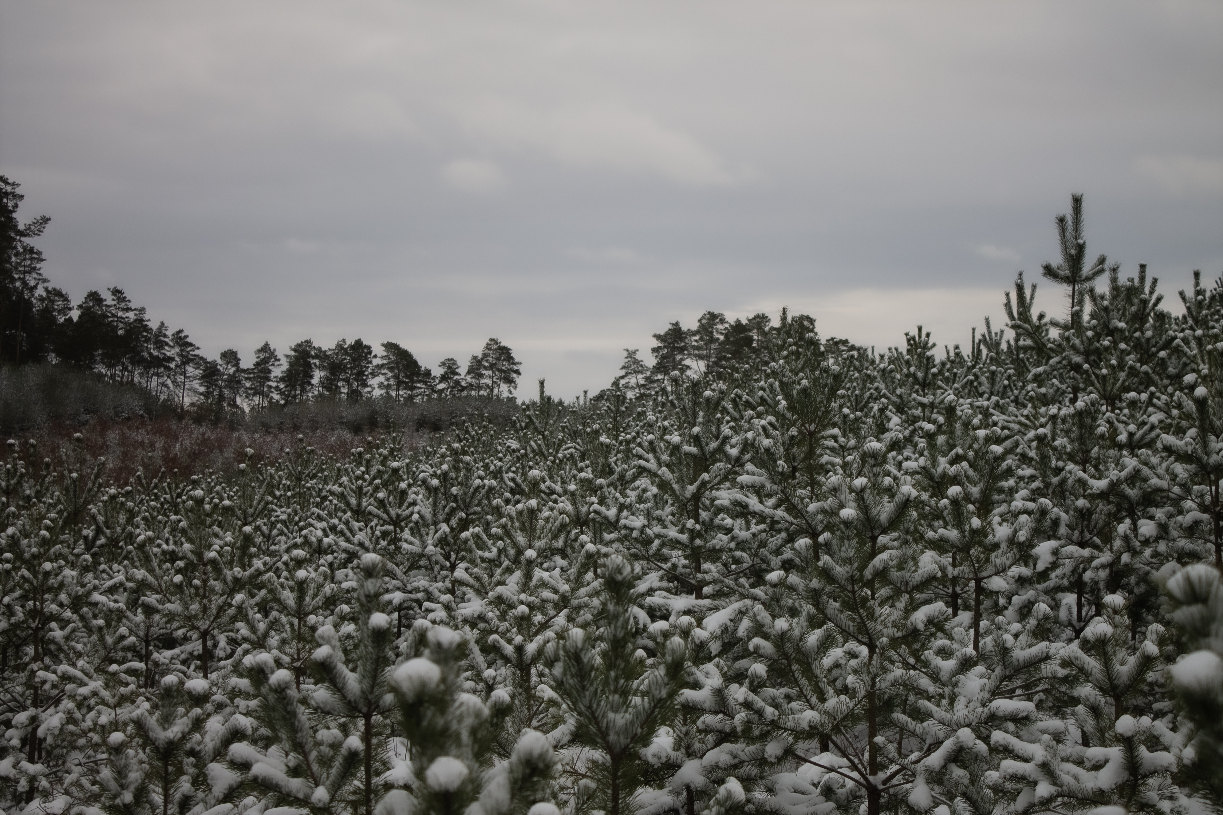 Rekordowa Turystyka w zachodniopomorskim i Konkurs Innowacji dla Młodych Talentów HoReCa
