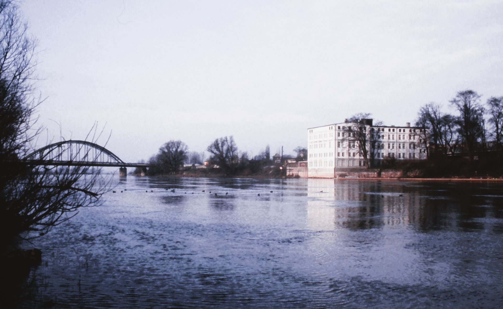 Ekstremalna Zima w Gorzów Wielkopolskim: Szczegółowa Prognoza na 18 Luty – 3 Marzec 2026