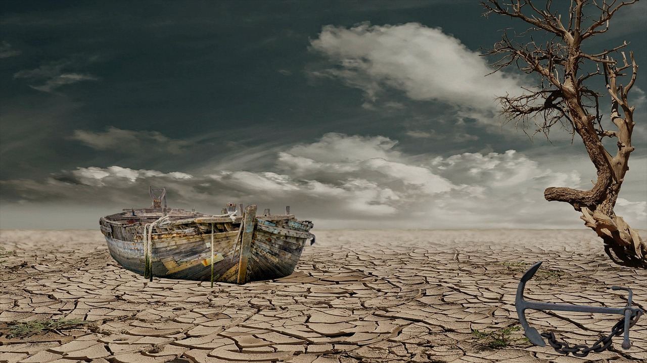 Susza i ekstremalne warunki pogodowe w Bydgoszczy - prognoza pogody.