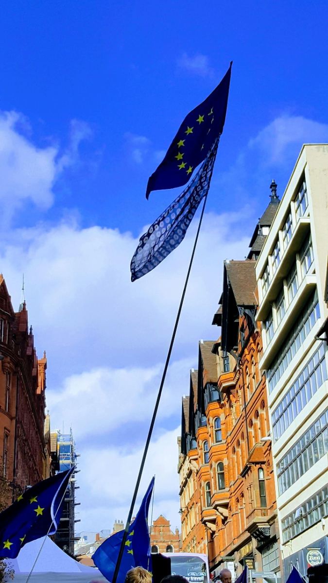 Islandia Rozważa Powrót do Negocjacji z Unią Europejską – Referendum 29 Sierpnia