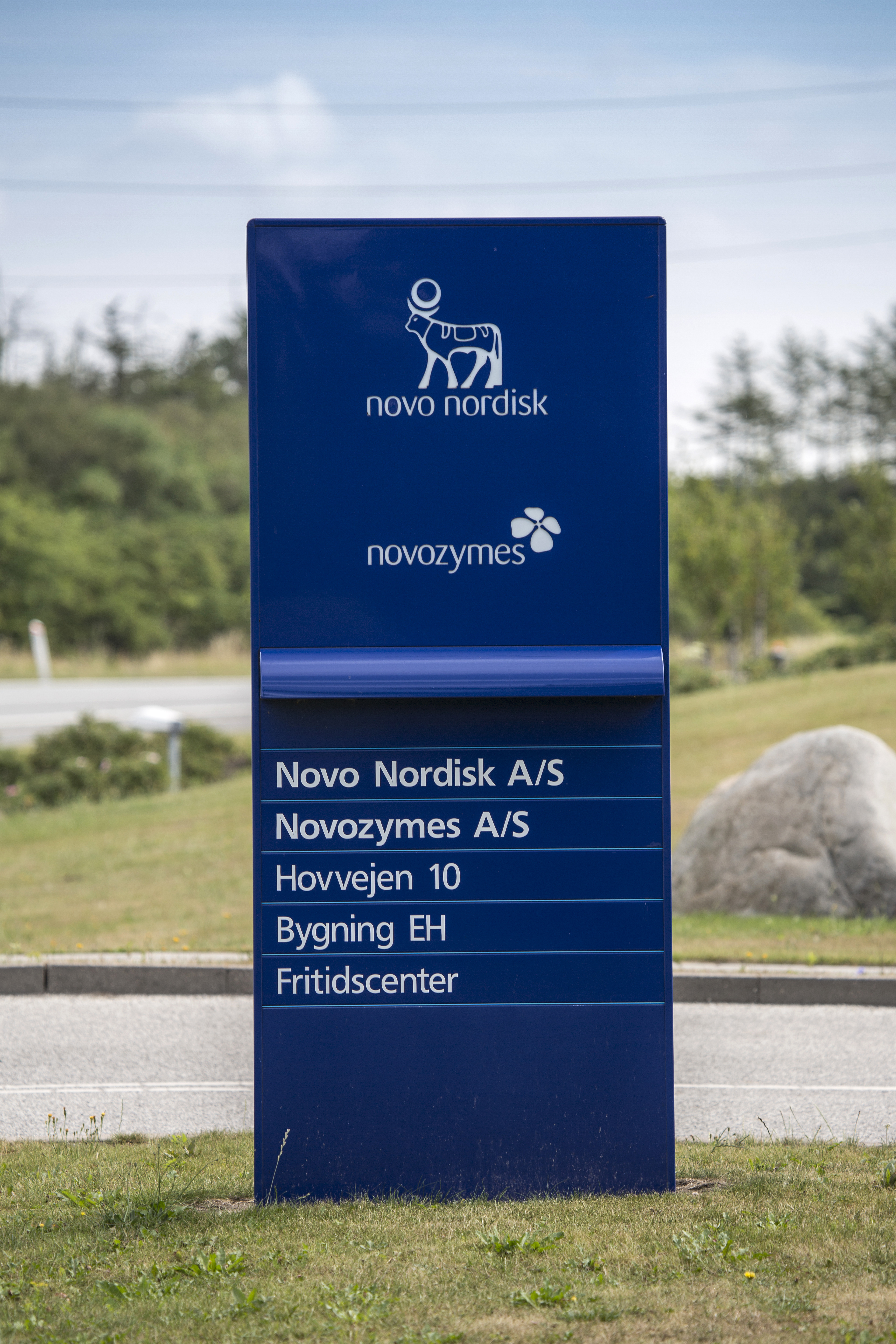 Analiza spadku akcji Novo Nordisk: Czy teraz jest dobry moment, żeby kupić?