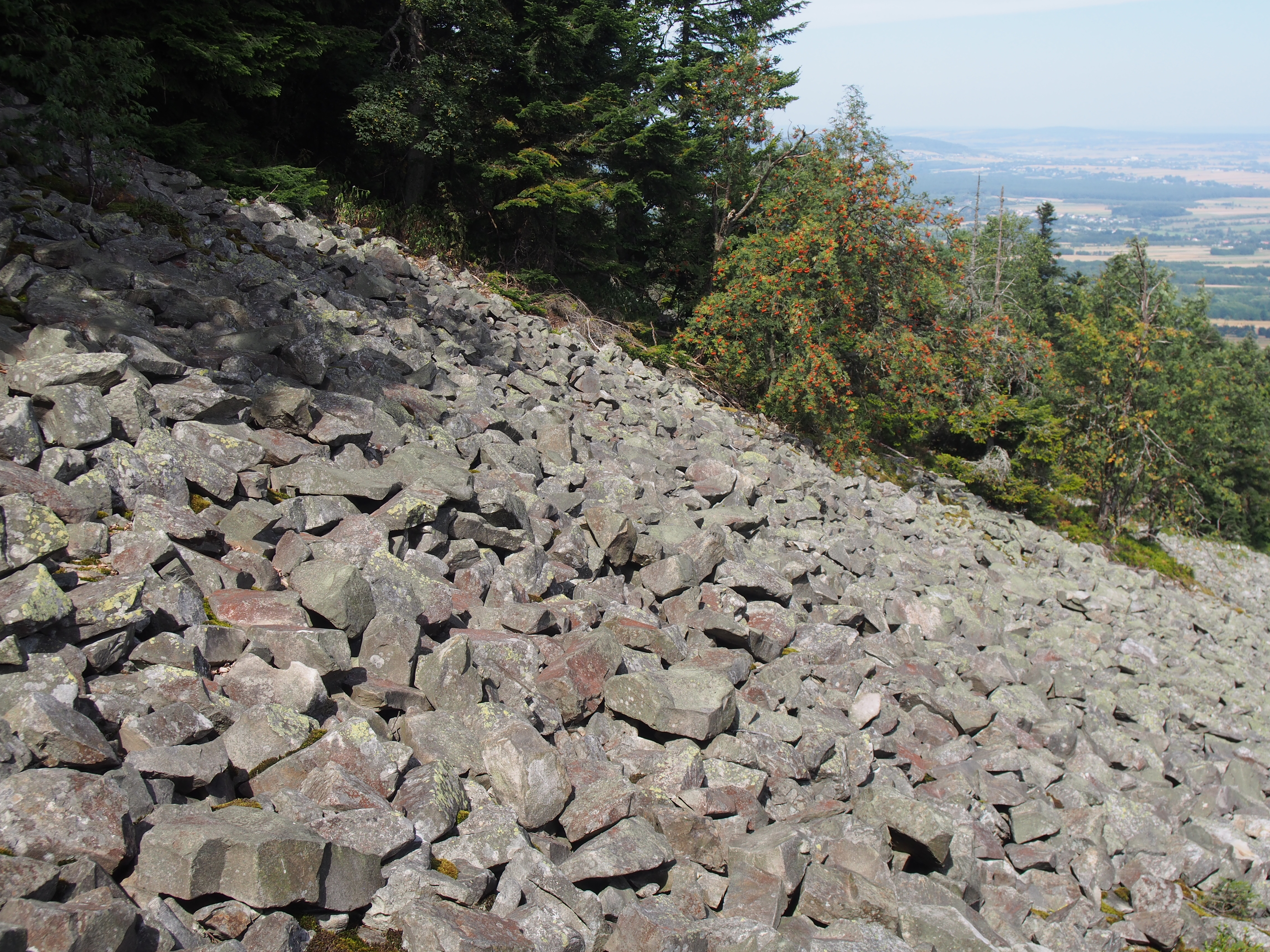“Gołoborze” Macieja Siembiedy podbija serca czytelników i trafia na wielki ekran!
